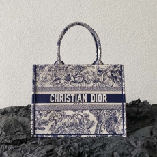 Christian Dior Shopping Bags